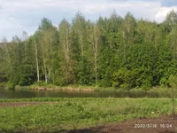 IMG_20200516_160436.webp