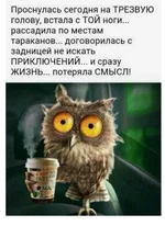 IMG-b9ce1edcf57e47c96f0feaba39287001-V.jpg