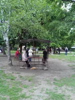 IMG_20200519_132332.jpg