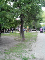 IMG_20200519_132337.jpg