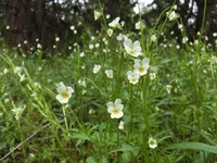 CIMG3345+s.webp