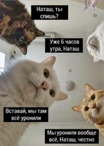 .webp