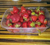 .webp