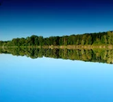 .webp