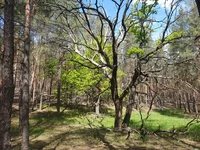 20200521_103835.jpg