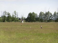 CIMG3623_s.webp
