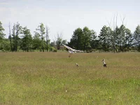 CIMG3629_s.jpg
