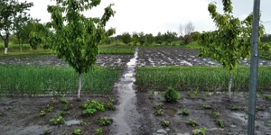 IMG-04948d8ec71f80d334f115a408e34fa8-V.webp