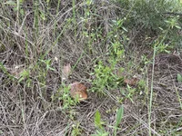IMG-4cffcf3fd25b2d77f82213613a674800-V.webp