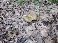 20200602_172456.jpg