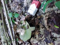 20200602_190853.jpg