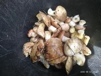 P00603-104540.webp