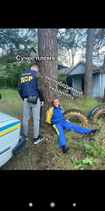 Screenshot_2020-06-03-23-31-51-364_org.telegram.messenger.webp