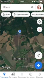грибы.jpg
