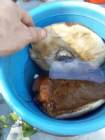 IMG-1cd978cc974dbf11c2bb91820f320658-V.webp