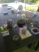 .webp