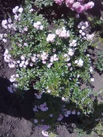 0151.webp