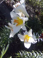 0153.webp