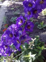 0157.webp