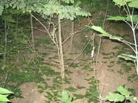 вход 001.jpg