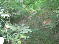  002.webp