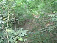 вход 003.jpg