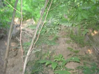 вход 004.jpg