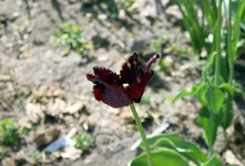 IMG_9914.webp