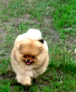 DSC02998 - Copy.webp