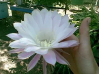 21072008(003).jpg