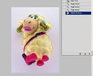 4.webp