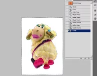 6.webp
