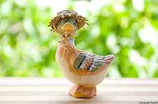 _IGP0023asp.webp