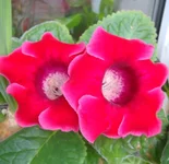 DSC00673.webp