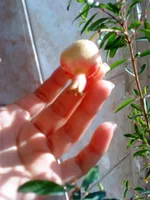 DSC05941.webp