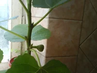 DSC05626.webp