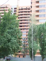  003.webp
