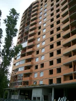  009.webp