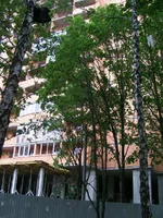  010.webp