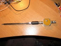 ant 2m.webp