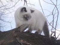лелечка.jpg
