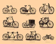 b83_391-0.webp