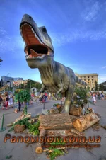 _MG_6974_5_6_tonemapped_resize.jpg