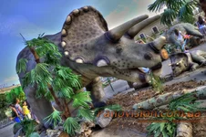 _MG_6977_8_9_tonemapped_resize.webp