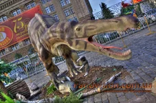_MG_6986_7_8_tonemapped_resize.webp