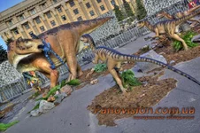 _MG_6992_3_4_tonemapped_resize.webp