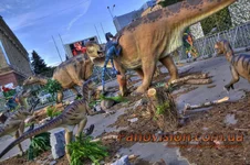 _MG_6995_6_7_tonemapped_resize.webp