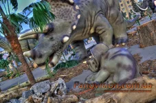 _MG_7034_5_6_tonemapped_resize.webp
