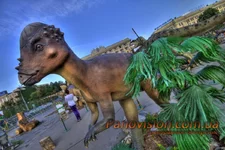 _MG_7044_5_6_tonemapped_resize.webp