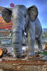 _MG_7047_8_9_tonemapped_resize.webp